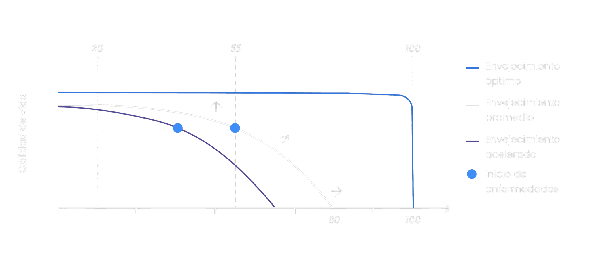 Aging mechanisms